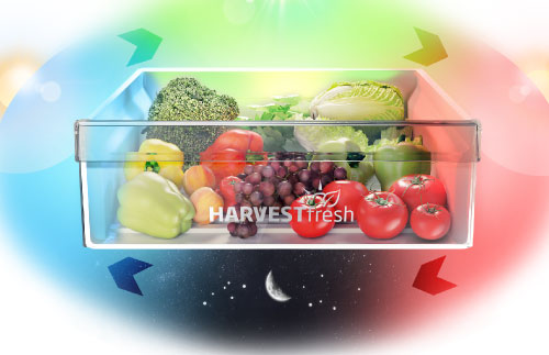 Cassetti Frigorifero Cassetti Verdura E Freezer